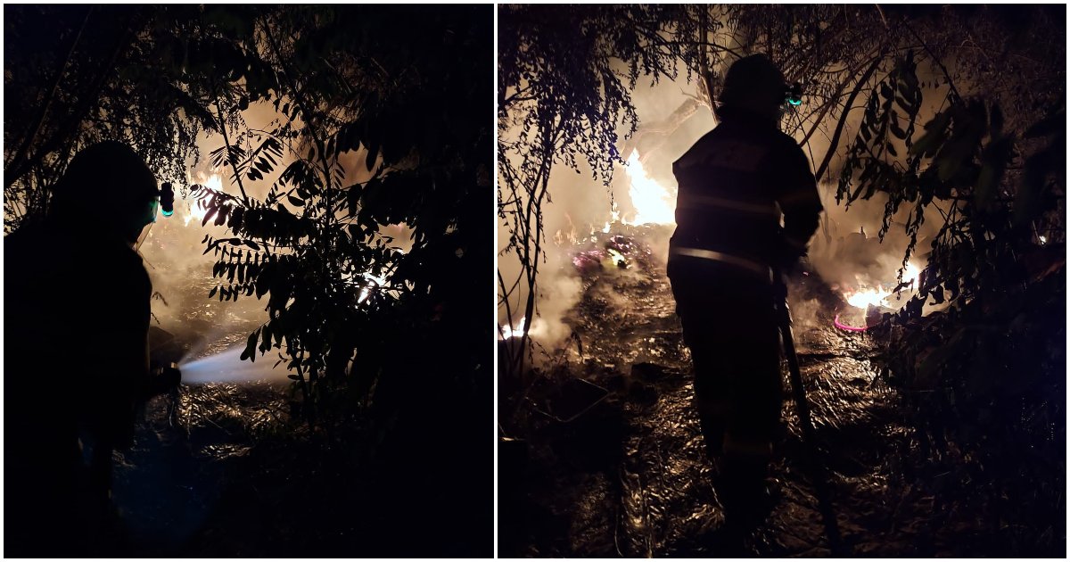 FOTO. Incendiu de vegetație în municipiul Satu Mare, aproape de Podul de Fier