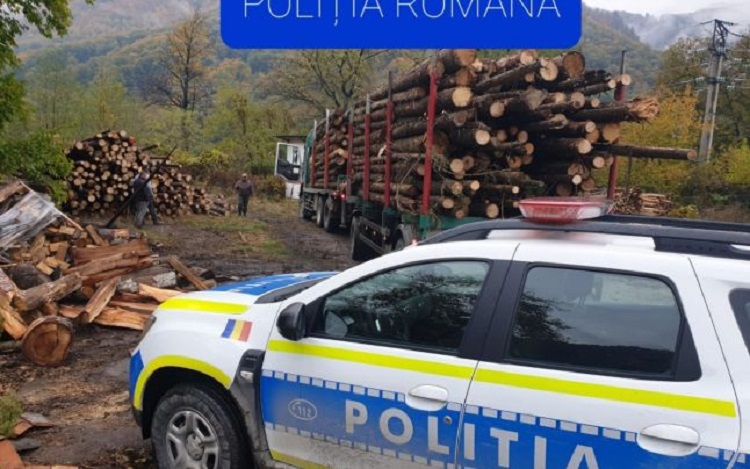 Controalele din Țara Oașului s-au lăsat cu amenzi și confiscări. Polițiștii, cu ochii pe tăietorii de lemne