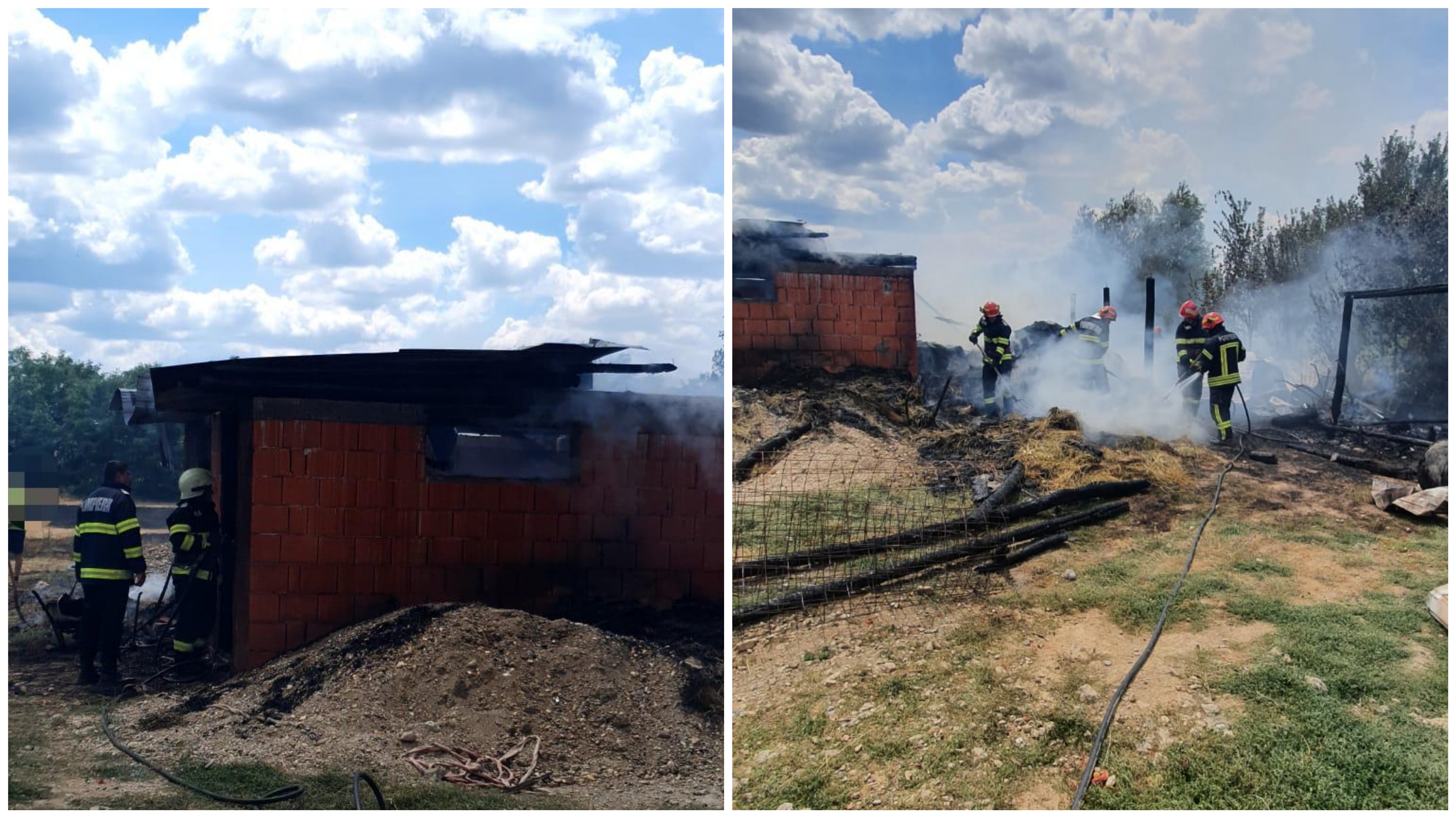 FOTO. Animale carbonizate în județul Satu Mare. Incendiu la o fermă