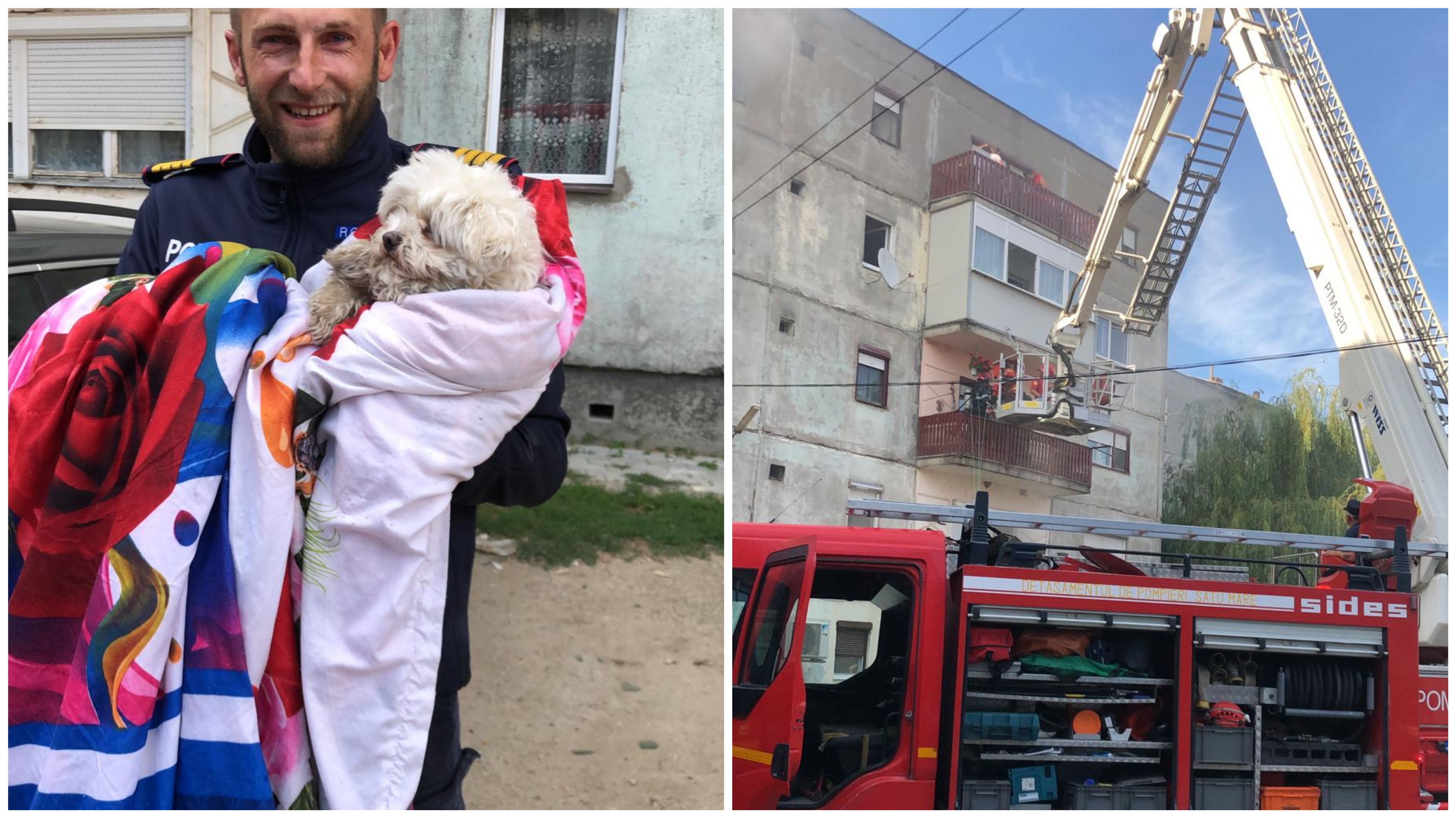 FOTO. Explozie la un bloc din Livada, județul Satu Mare. Victime multiple