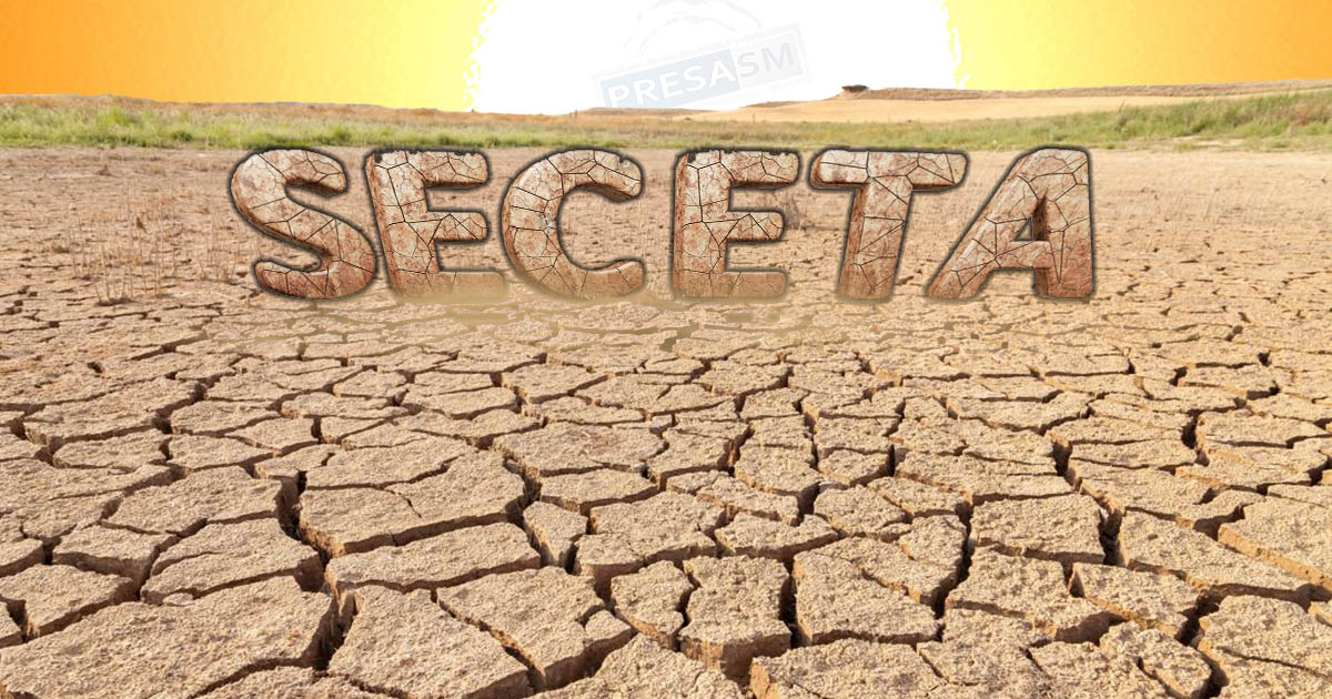 Kánikulára számíthatunk az elkövetkező napokban országszerte