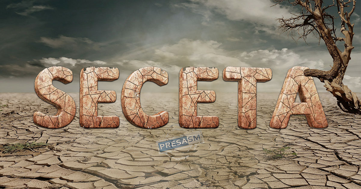 Prefectura Satu Mare: secetă extremă în județ. Începe evaluarea pagubelor. Fermierii vor primi compensații