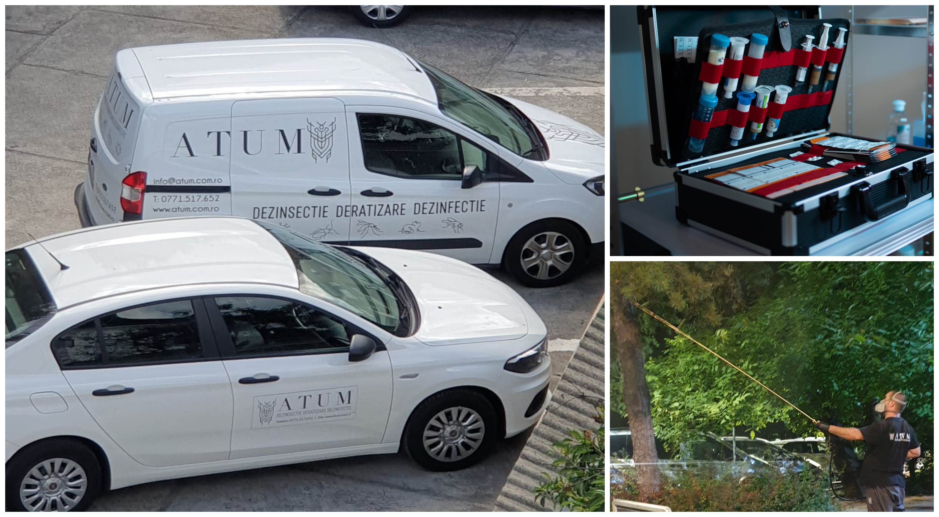 ATUM. De ce este important să alegeți doar servicii profesionale de deratizare, dezinsecție, dezinfecție