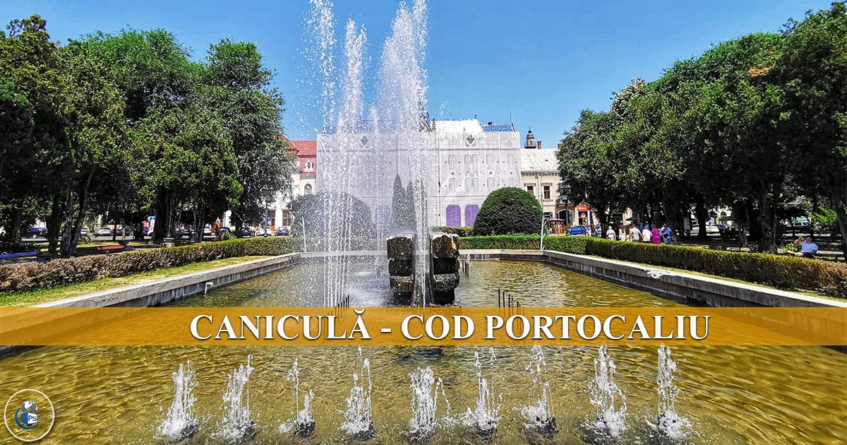 Cod portocaliu de caniculă la Satu Mare