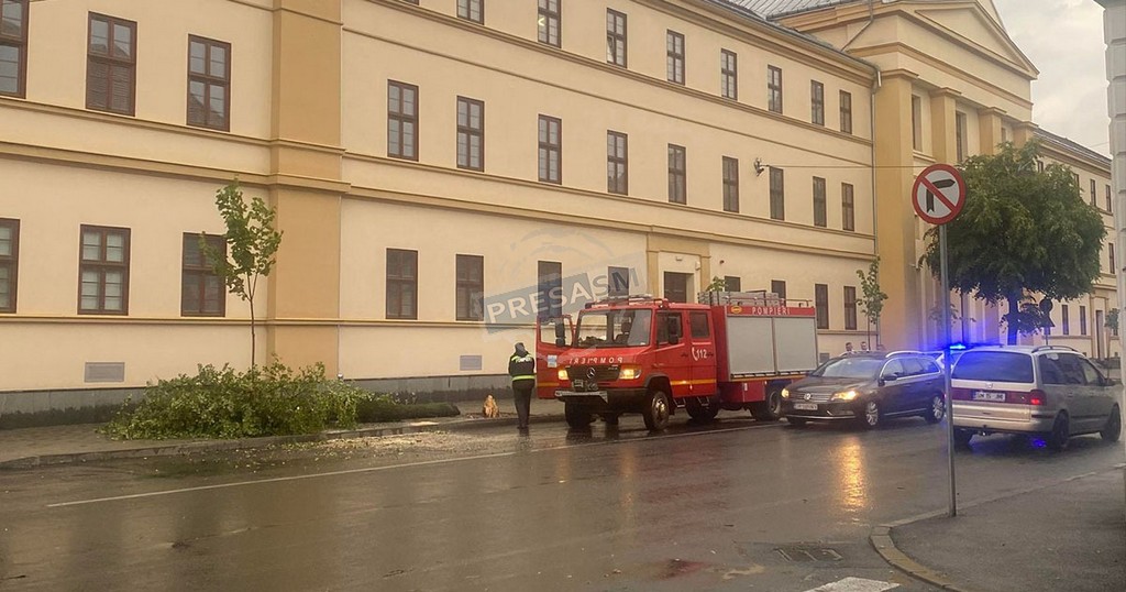 FOTO/VIDEO. Copaci rupți de vijelie în municipiul Satu Mare. Pompierii intervin