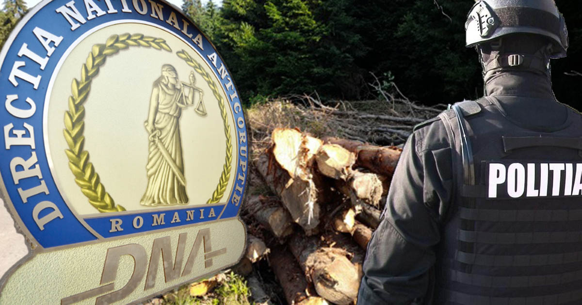 Dare și luare de mită la un ocol silvic din Satu Mare. DNA a trimis în judecată două persoane