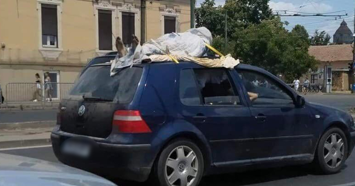 FOTO/VIDEO. Fotografia care a pus pe jar polițiștii dintr-un județ din vestul țării. Misterul a fost elucidat