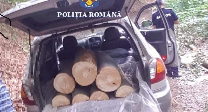 FOTO. O captură ”uriașă” în Oaș. Acțiune împotriva mafiei pădurilor cu ”frâna de mână” trasă