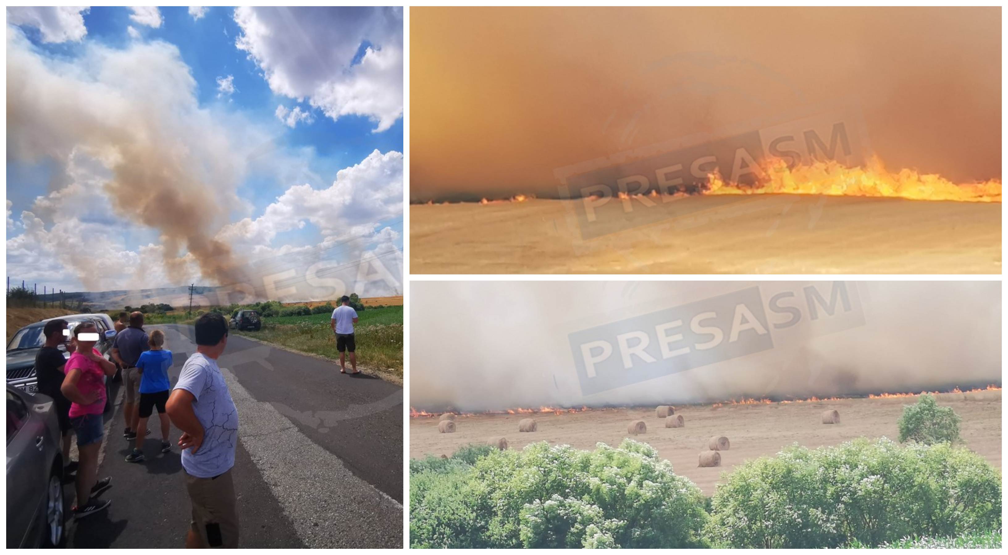 FOTOGALERIE. Incendiu uriaș în zona stațiunii Tășnad. Hectare de grâu făcute scrum