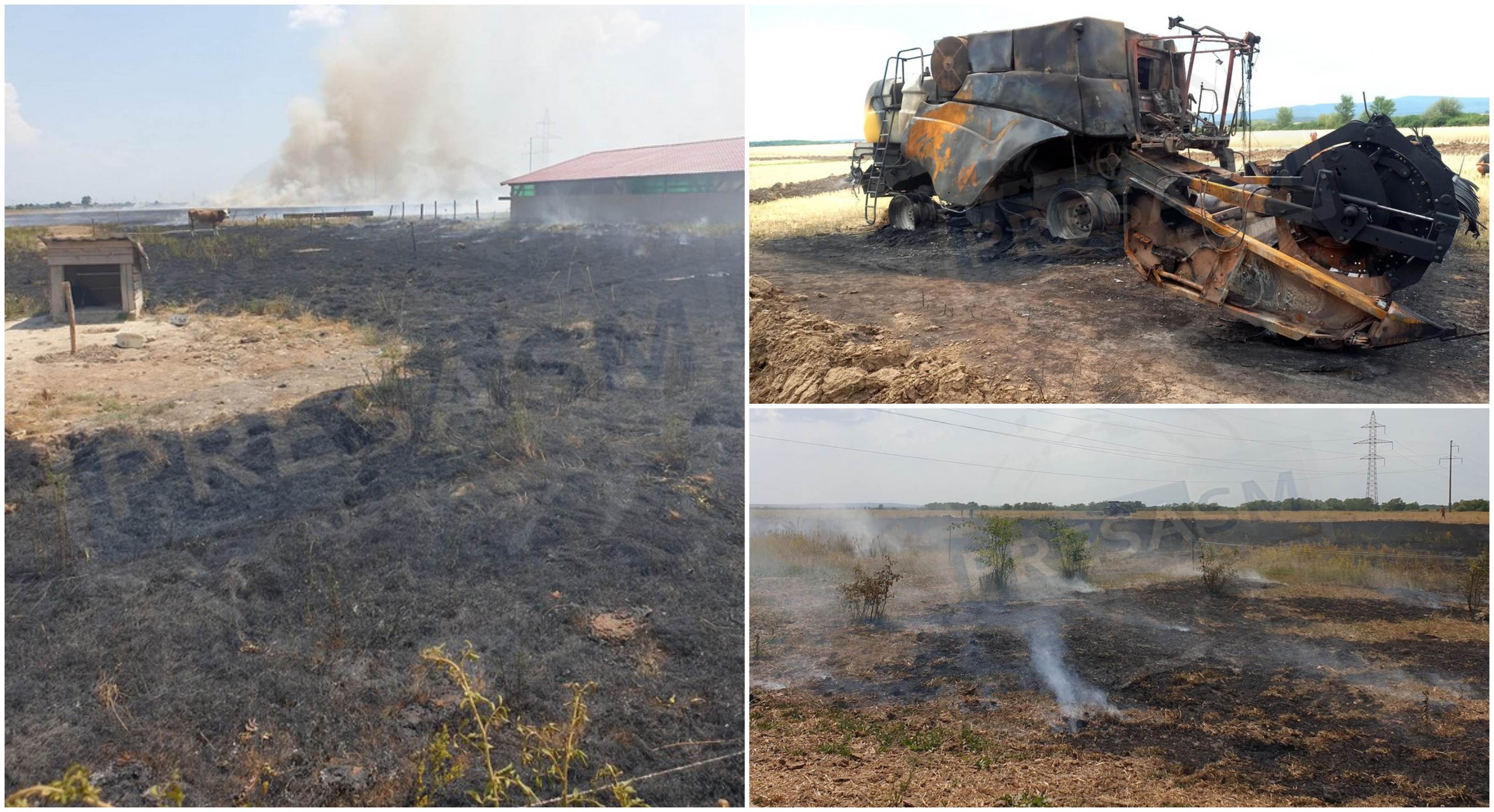 FOTO. Zeci de hectare și utilaje distruse într-un incendiu în județul Satu Mare