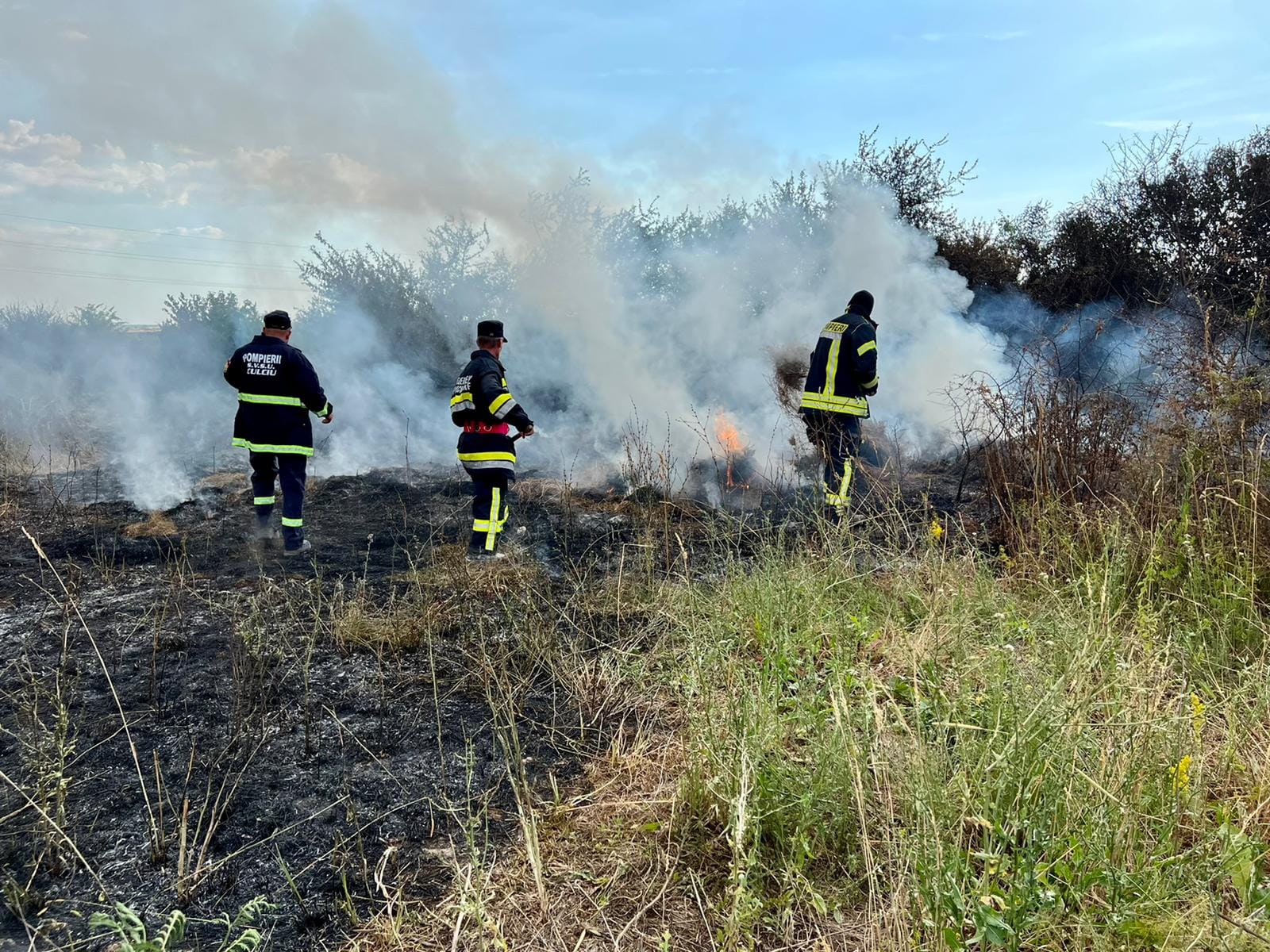 FOTOGALERIE. Piroman în libertate. A dat foc unui câmp din județul Satu Mare