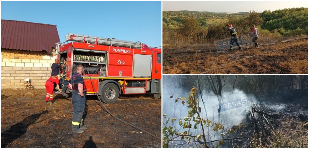 FOTOGALERIE. Incendiu de amploare în județul Satu Mare. Zeci de hectare făcute scrum