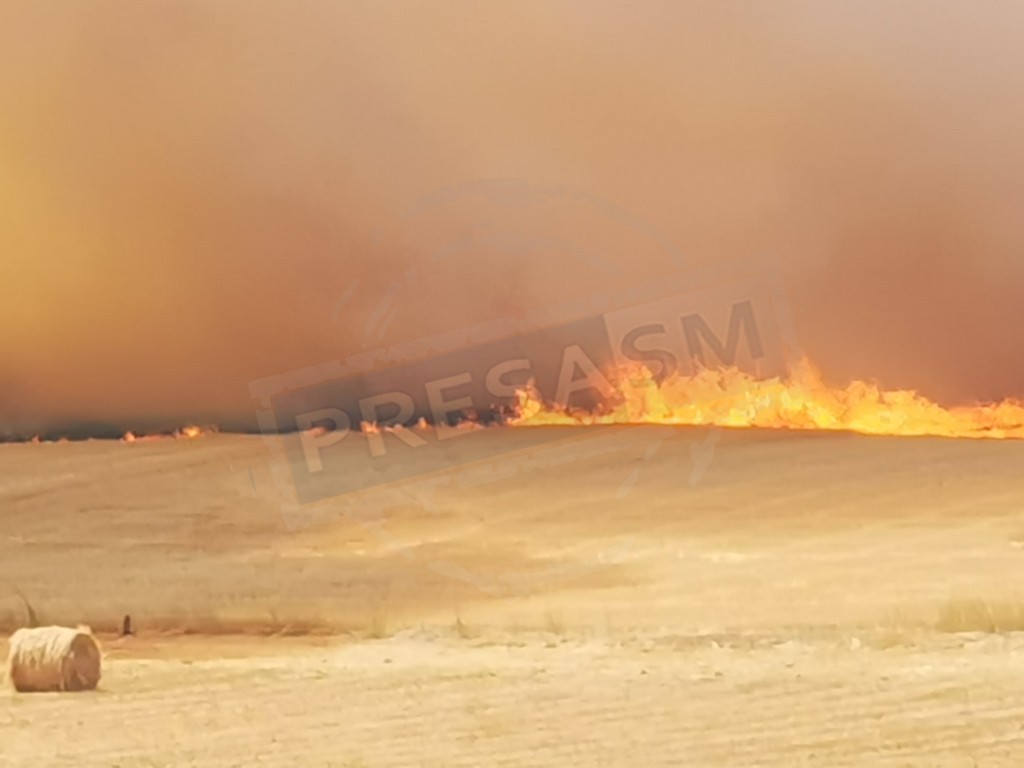 FOTOGALERIE. Zeci de ha făcute scrum în județ. Incendiu uriaș, provocat de combine