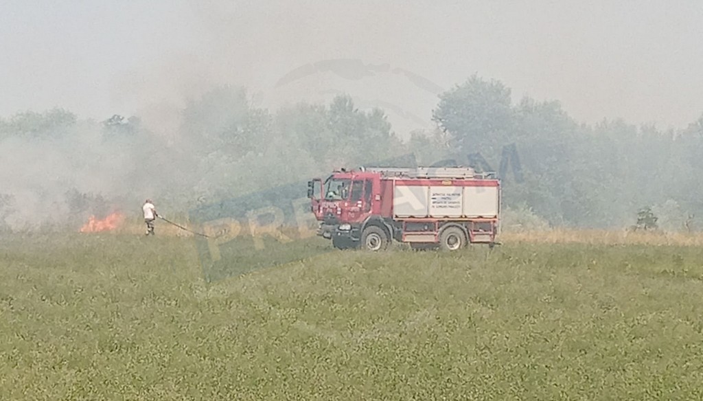 FOTO. Incendiu pe malul Someșului, în municipiul Satu Mare. Canicula își arată efectele