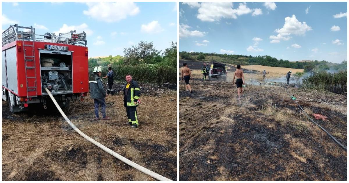 FOTOGALERIE. Incendiu uriaș în județ. Hectare întregi de grâu au fost arse, au intervenit zeci de pompieri