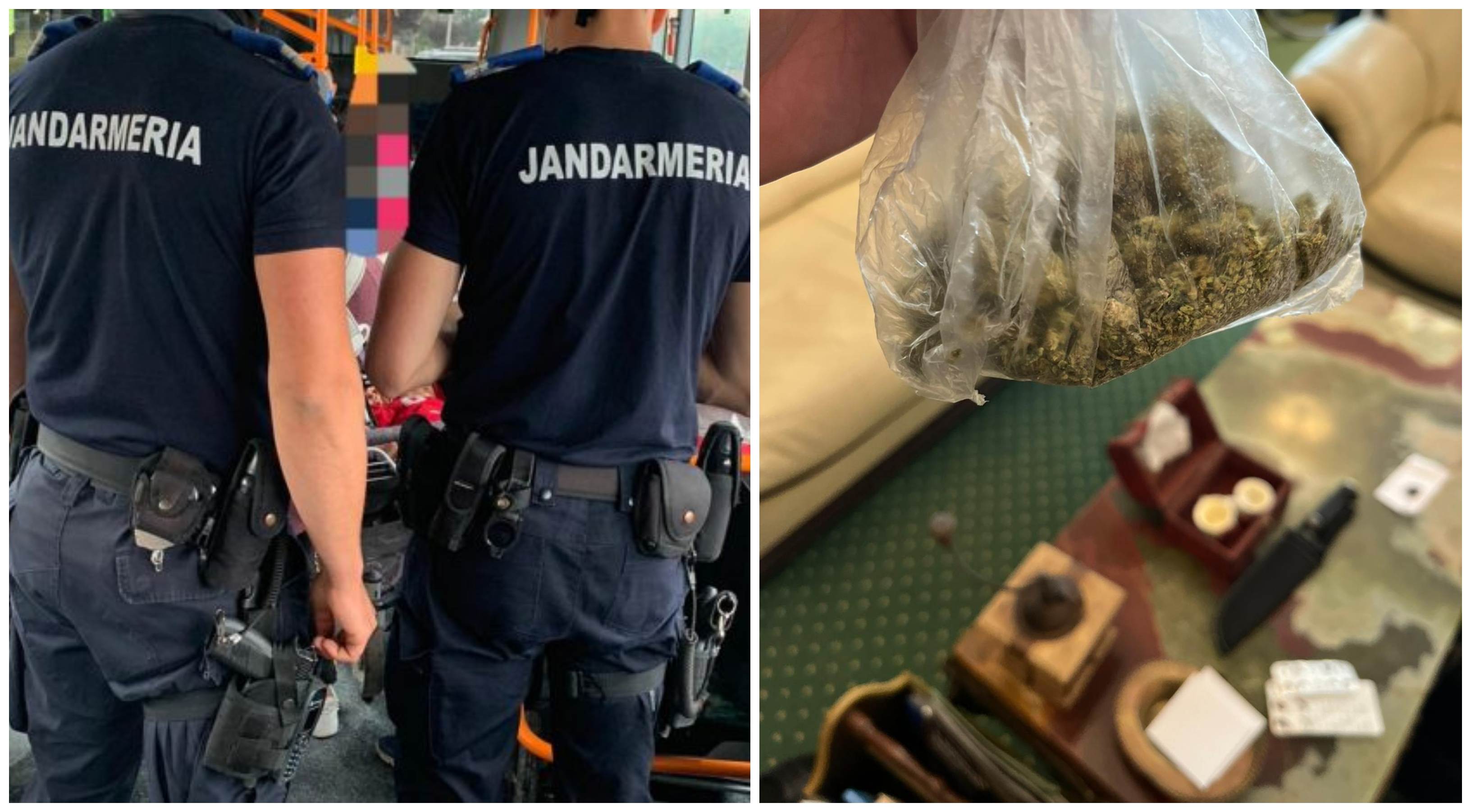 Trei sătmăreni s-au fâstâcit când i-au văzut pe jandarmi. Oamenii legii au intrat la bănuieli. Ce au găsit după controale