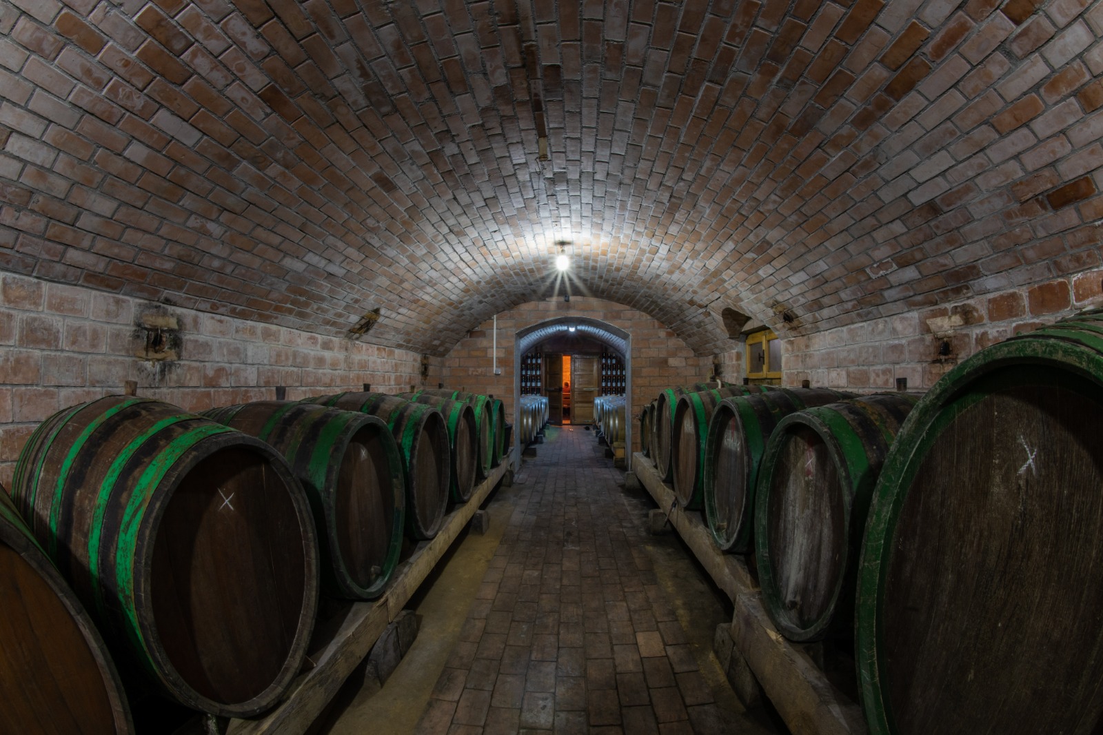 Crama Comorilor din Partium la Carei