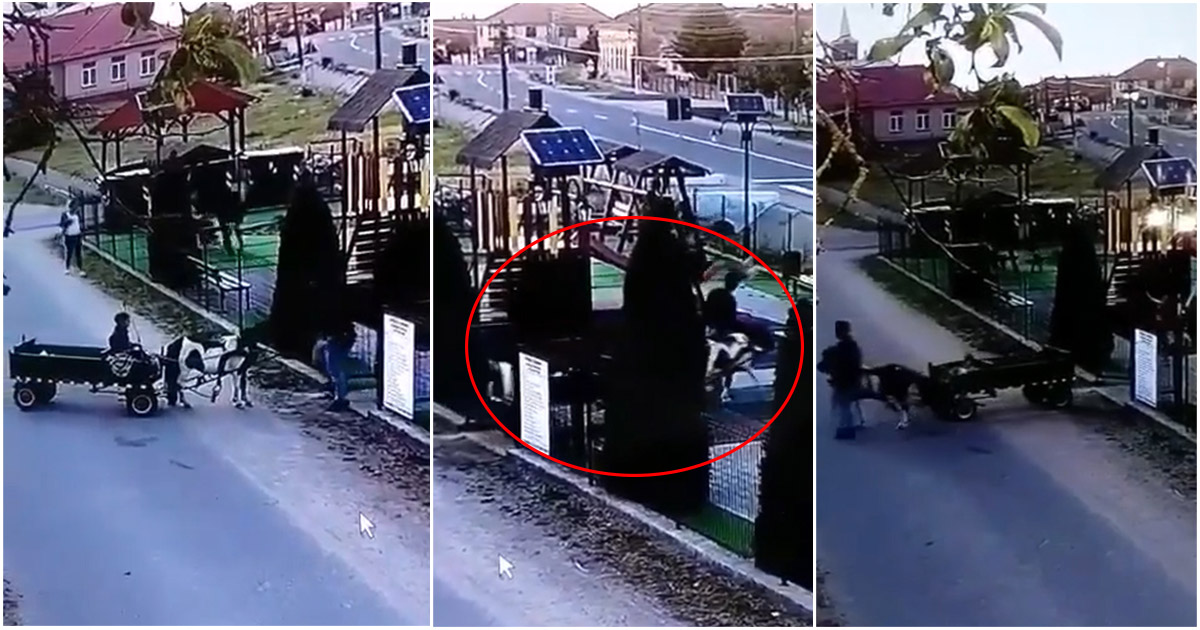 VIDEO. Ca-n Vestul Sălbatic în județul Satu Mare. Cu ștraful pe locul de joacă al copiilor