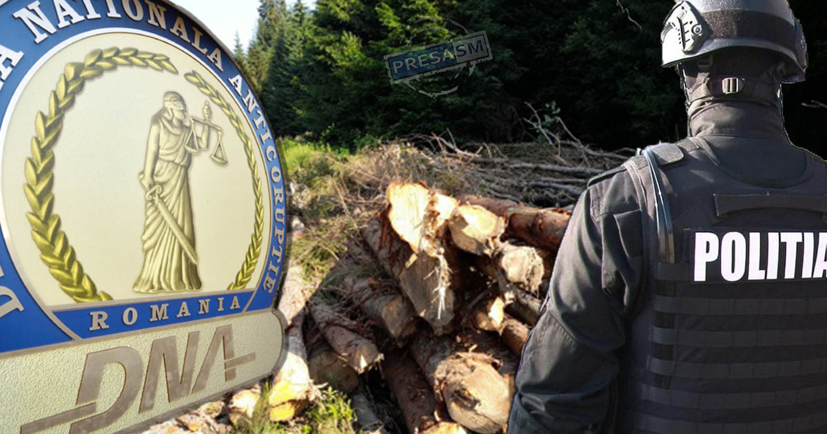 DNA a descins la un ocol silvic din județul Satu Mare. Acuzații de dare și luare de mită