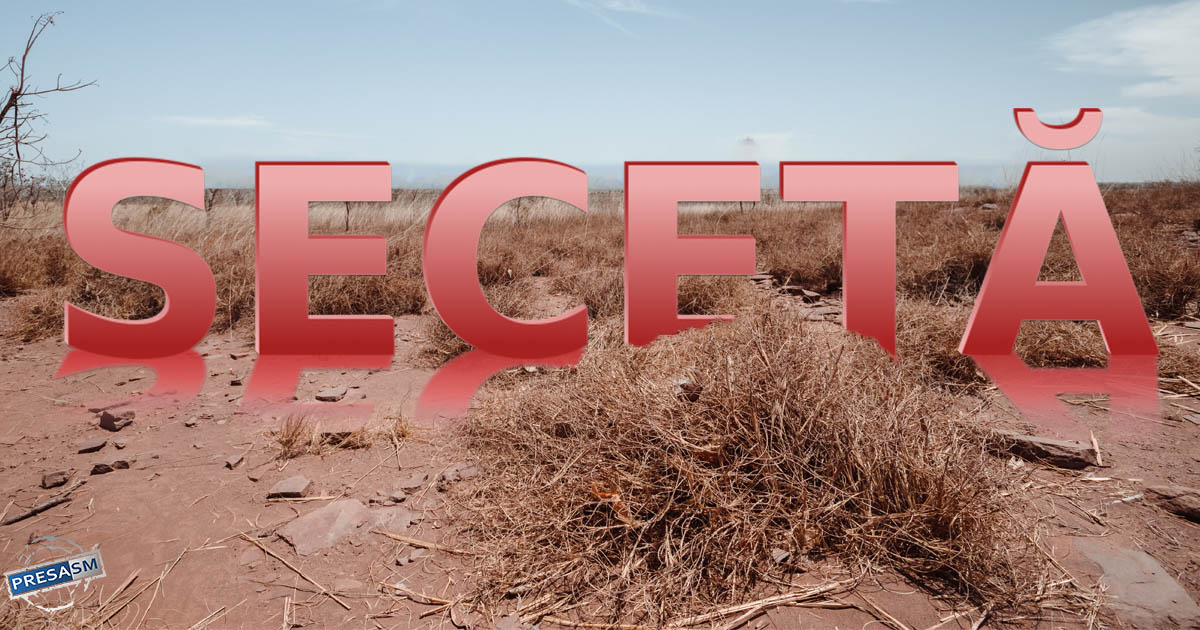 Culmea ironiei! Recoltele românilor se uscă pe câmp, statul român vinde apă în Ungaria