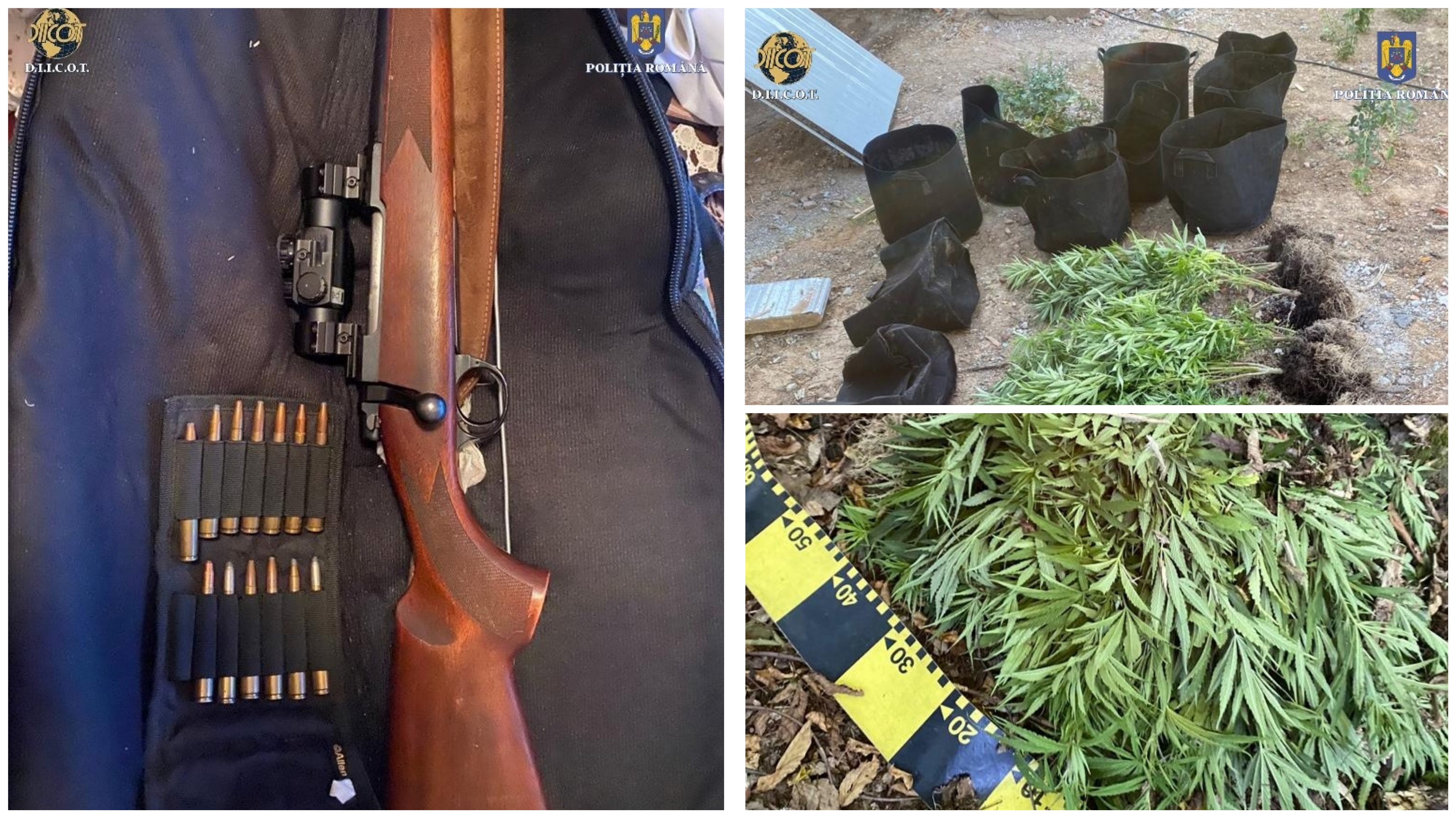 FOTO. Ca-n filme! Traficanții din Satu Mare au furat camerele de filaj ale Poliției