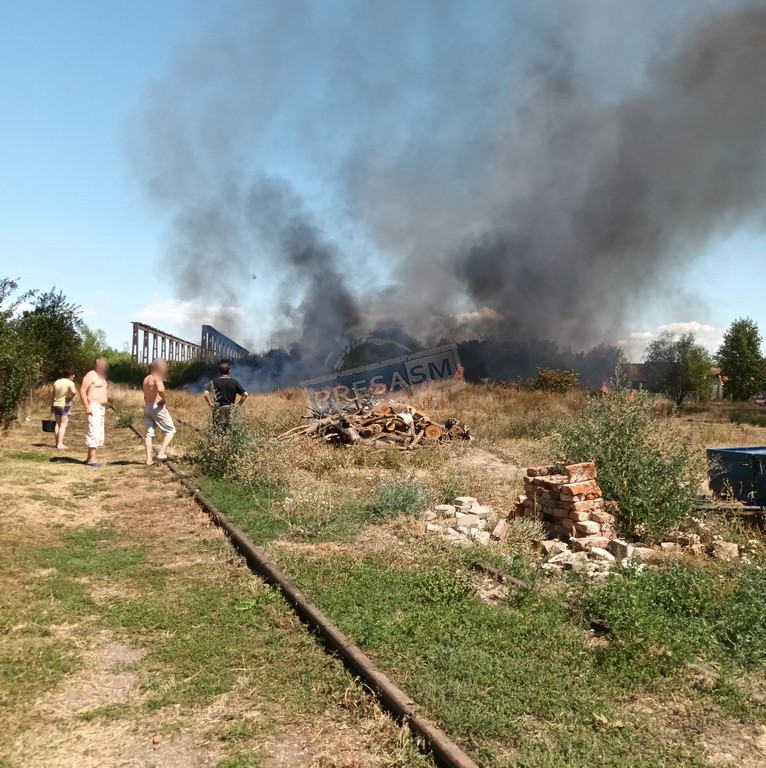FOTO/VIDEO. Incendiu de amploare în municipiul Satu Mare. Case în pericol