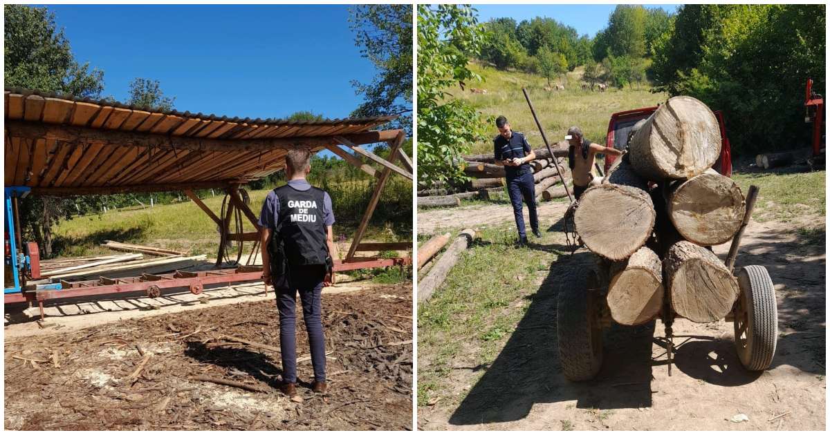 Și-a pornit gaterul dar nu și-a bătut capul cu autorizațiile. Amenda uriașă primită de un sătmărean