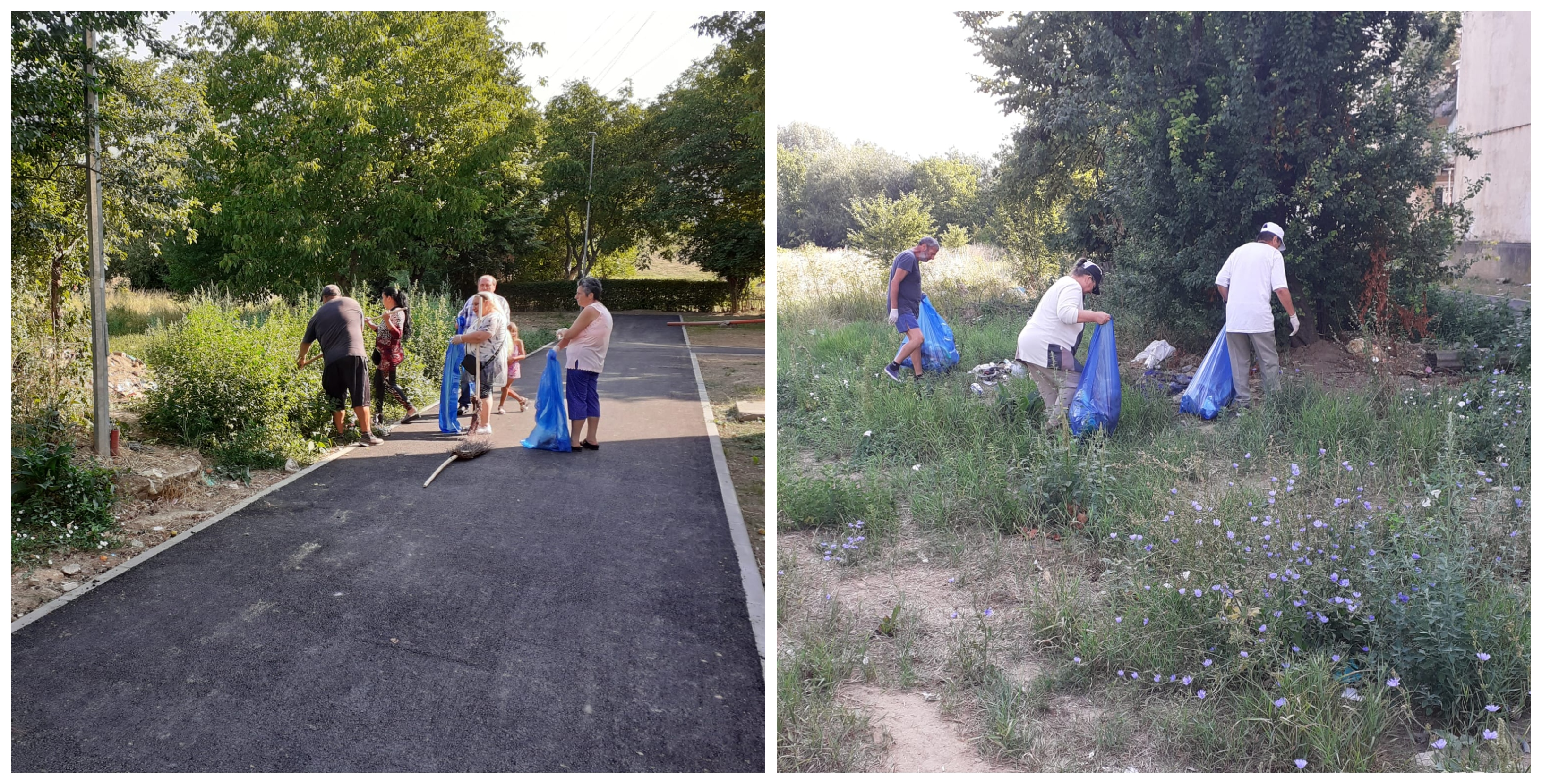 FOTOGALERIE. Primăria Satu Mare a scos asistații social la muncă