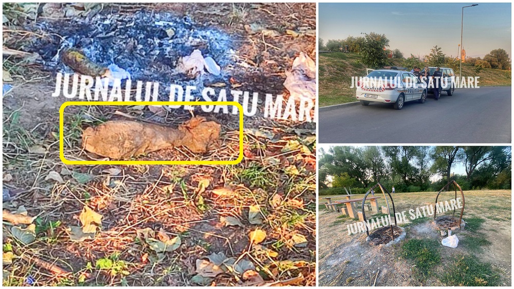 FOTO. Copiii au găsit o bombă în Someș, au spălat-o și au pus-o lângă foc, în Satu Mare