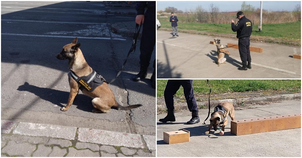 Cima, la datorie în vama Petea, odată cu festivalul Untold