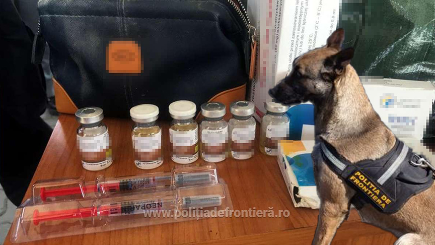 FOTO/VIDEO. Traficanți prinși de cățelușa CIMA în Vama Petea! Mergeau spre UNTOLD