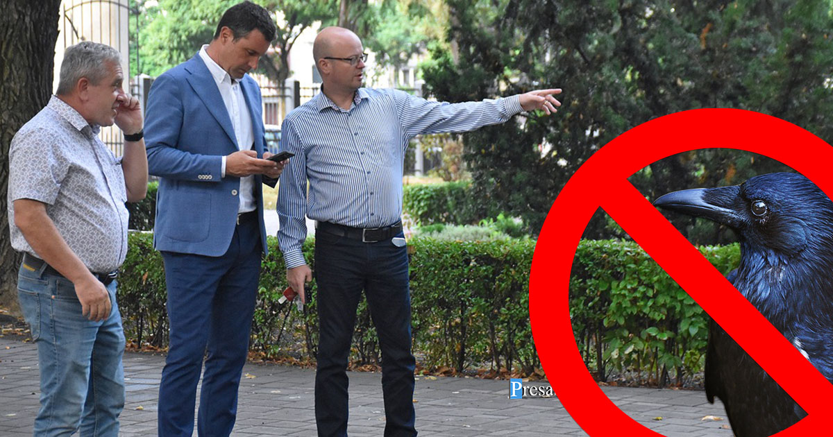 FOTO. Problema ciorilor din Grădina Romei, pe masa ministrului Mediului. Primarul i-a cerut ajutorul