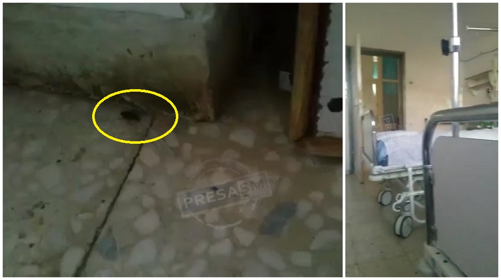 VIDEO. Bogarak mászkálnak a megyei kórház intenzív osztályán
