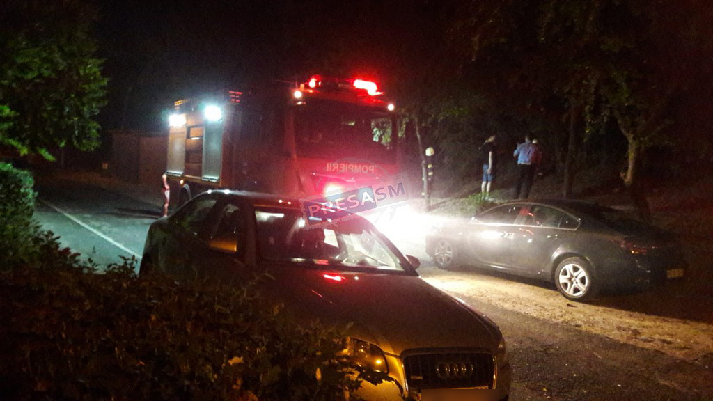 FOTO. Incendiu în zona unui cartier din municipiul Satu Mare. Suspiciuni că focul a fost pus intenționat