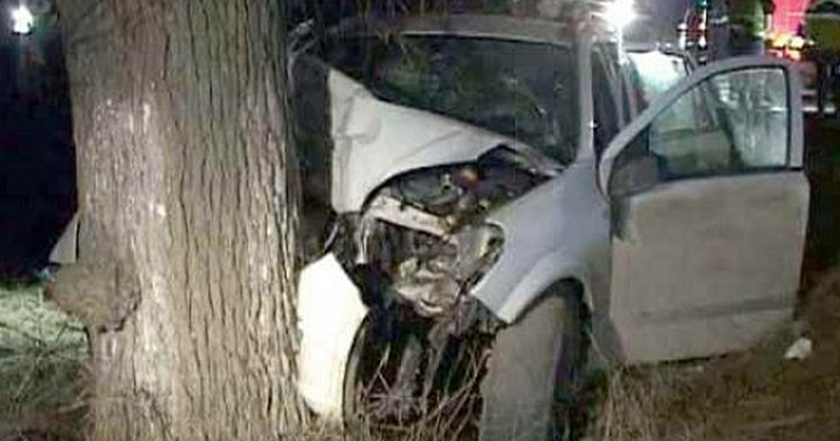 Accident în județul Satu Mare. Un șofer a intrat cu mașina într-un copac. A ajuns la UPU