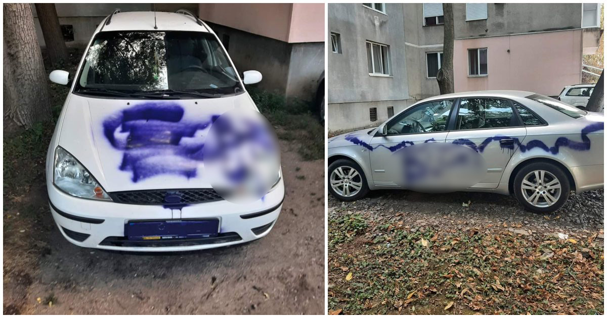 FOTO. Mașini vandalizate în județ. Prins rapid, păgubiții au fost șocați când au văzut cine e