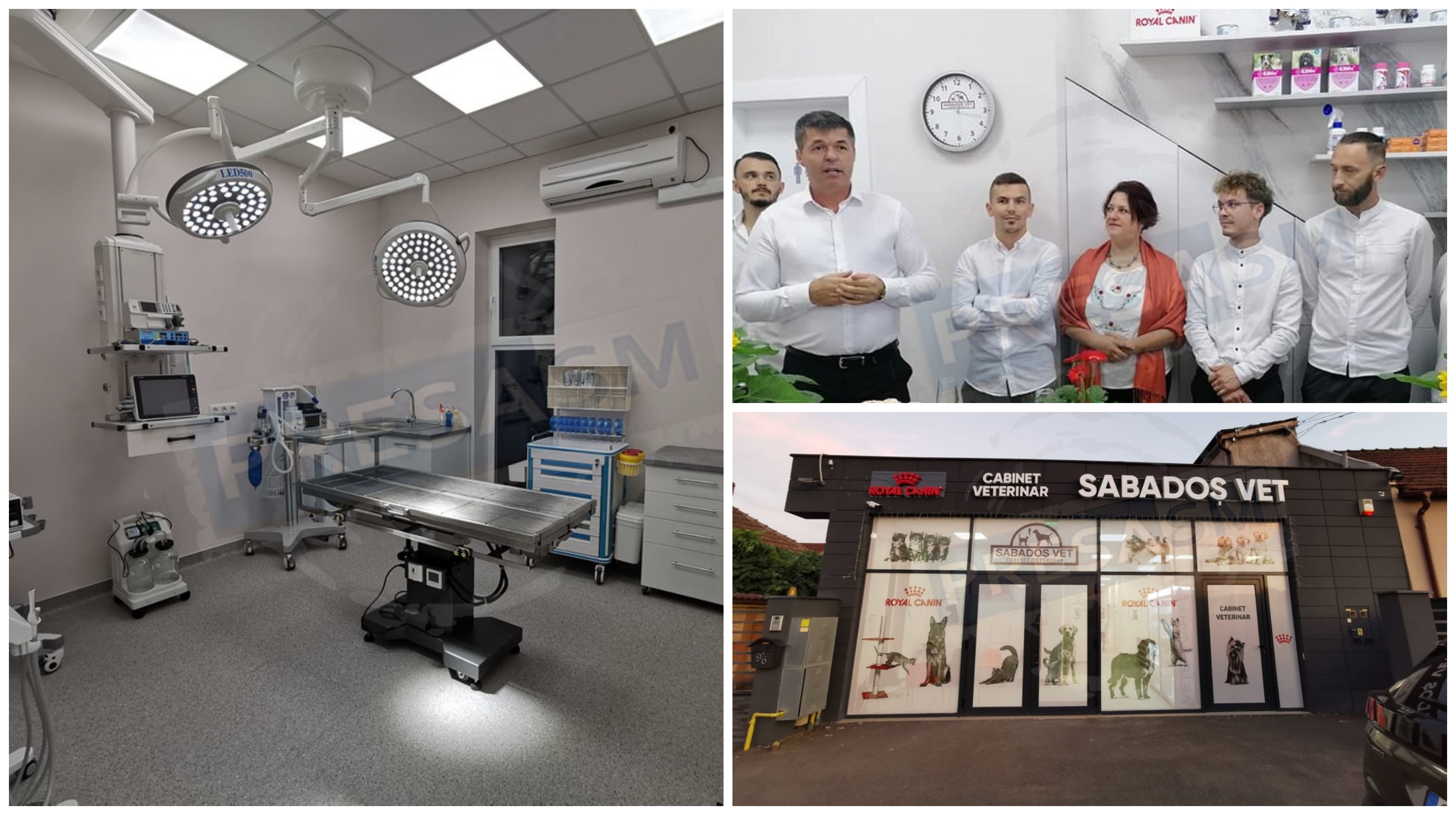 SABADOȘ VET. Se caută angajați cu suflet și entuziaști în Satu Mare