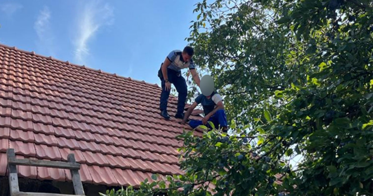 FOTO. Sătmărean salvat în ultima secundă! Și-a pus funia în gât, polițistul l-a oprit