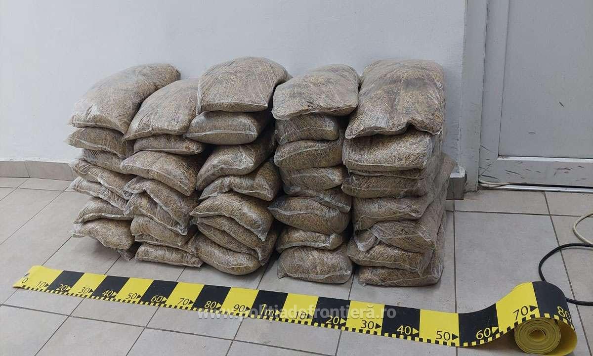 FOTO. Captură în Vama Urziceni. Afacerea care i-a adus un dosar penal unui șofer