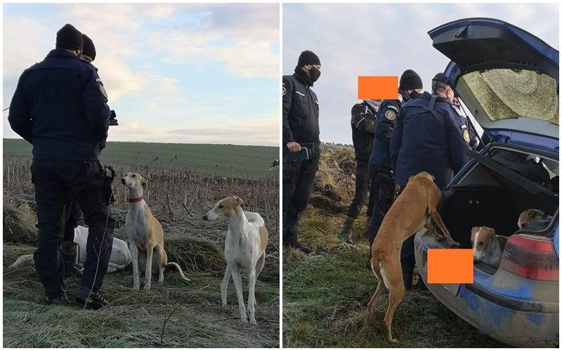 INTERCEPTĂRI. Ce coduri folosesc braconierii din Satu Mare. Arme și proiectile găsite la percheziții