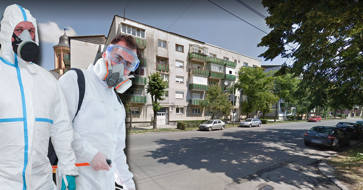 Primăria face apel la asociațiile de locatari și firme: Este obligatoriu pentru a preîntâmpina focarele de infecție
