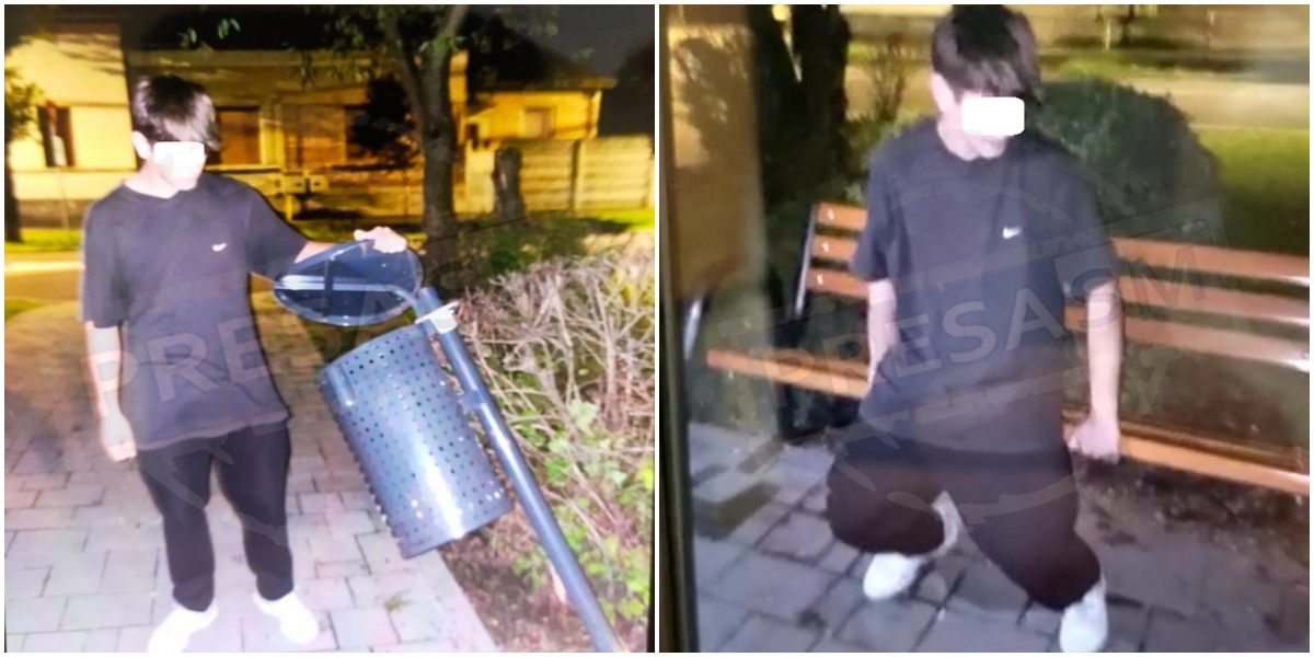 FOTO. Hulk de Satu Mare. Puștan prins în flagrant distrugând bănci și coșuri de gunoi
