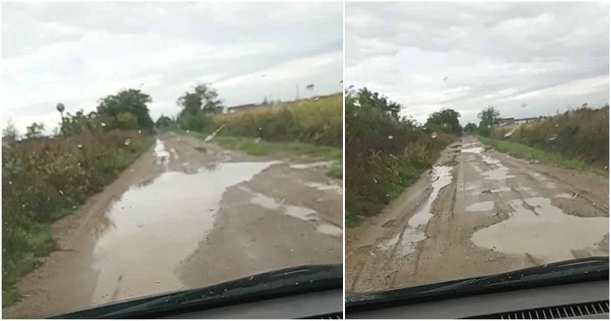 VIDEO. Drumul spre adăpostul de câini, o cursă cu obstacole. Salvatorii patrupedelor, împotmoliți în noroaie