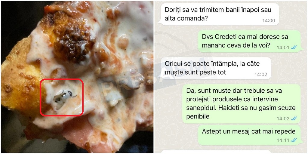 FOTO. Pizza cu extra proteine în Satu Mare. Borsalino: ”Oricui se poate întâmpla, la câte muşte sunt peste tot”