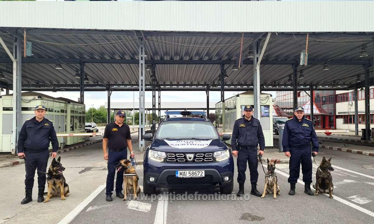 FOTO/VIDEO. România își blindează frontiera cu Ungaria. Inclusiv cu câini polițiști la Petea și Urziceni