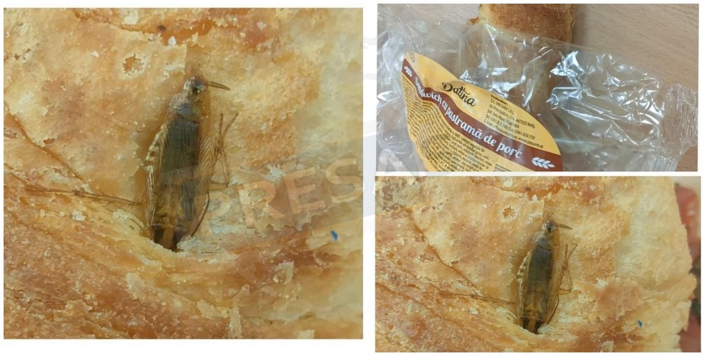 FOTO. Noul sendviș cu pastramă de porc și...INSECTE, rețetă made in Satu Mare