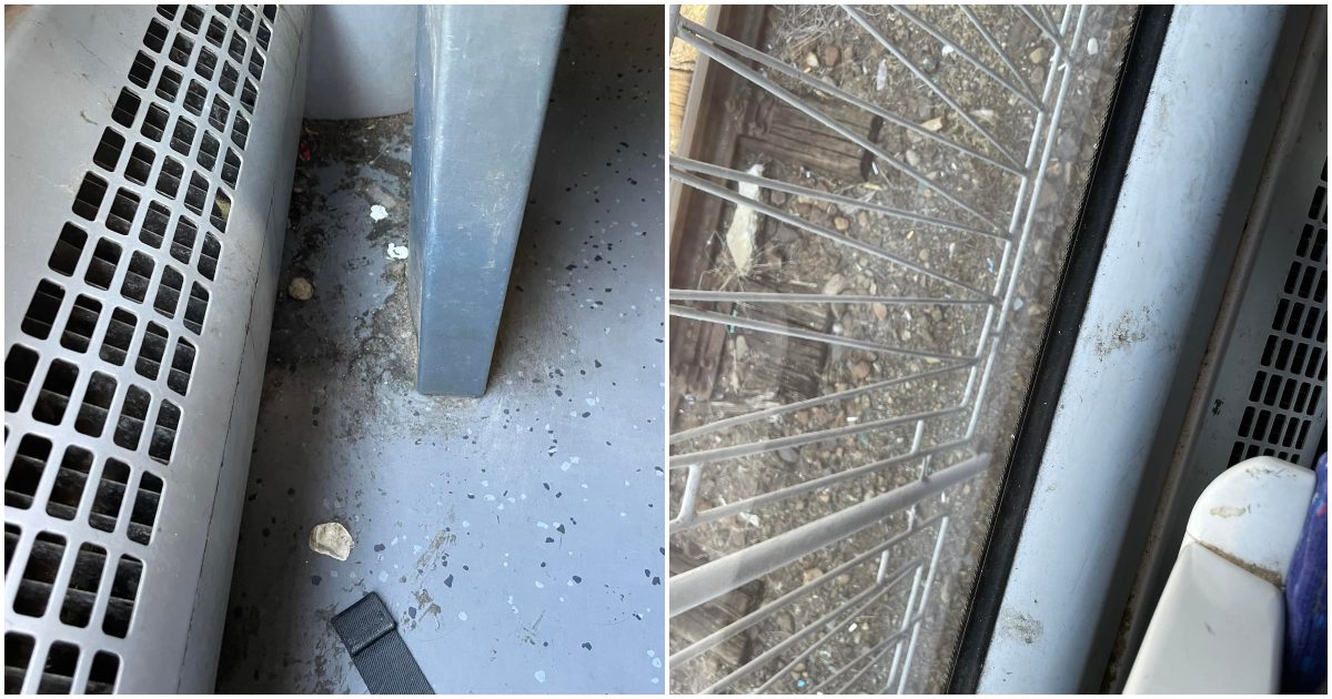 FOTO. Viteză de "melc lipit de gumă" într-un tren cu "miros de tomberon". Un sătmărean a compus o poezie după călătoria cu trenul