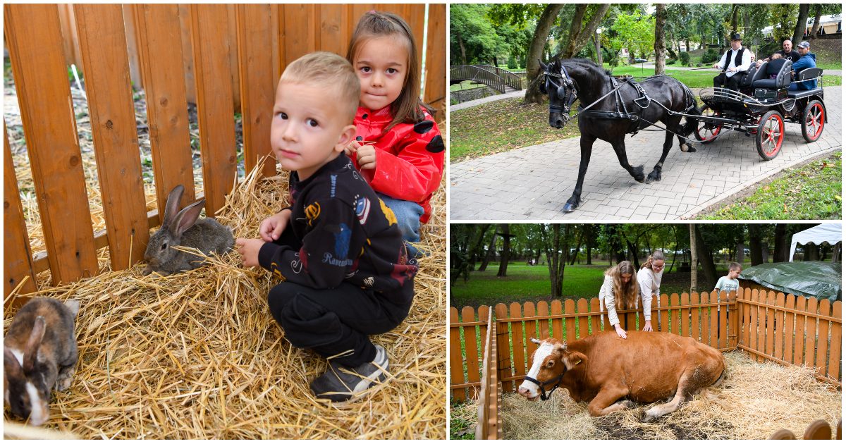 FOTO. Animale domestice, plimbări cu căruța și preparate tradiționale. Distracție în Grădina Romei