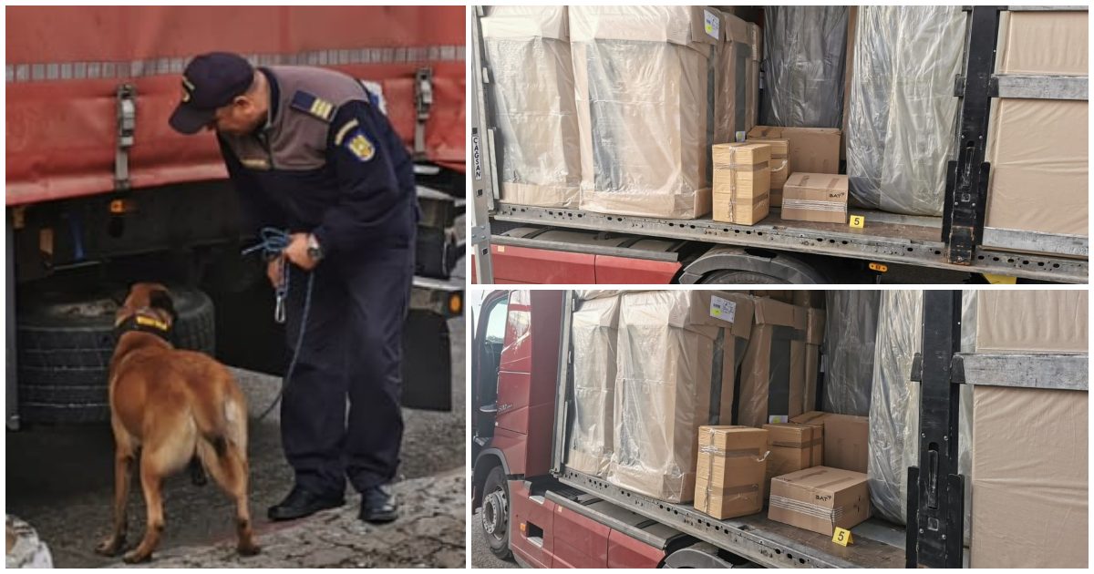 FOTO. Un câine i-a dat de gol pe contrabandiștii cu TIR-ul. Le-a strigat planurile în Vama Petea