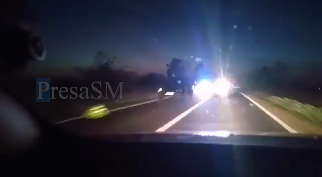 VIDEO. Accident pe DN1F, în județul Satu Mare. A lovit cu mașina o căprioară. Autoturismul, serios avariat